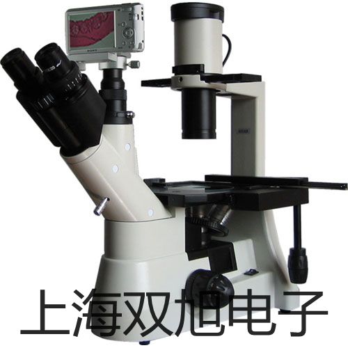 ���p���ơ�늸Љ���׃����YSG-2YSG2�r�� 