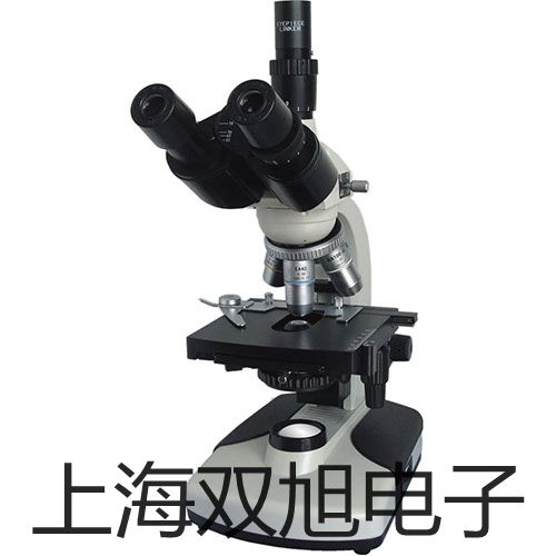 ���p���ơ�XTT�wҕ�@΢�R�S��