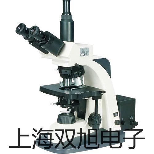 ���p���ơ�IMPULSE200����LTI����y��/�y�߃x��IMPULSE200�N��