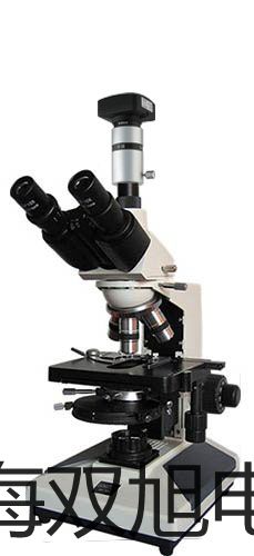 ���p���ơ����ż�b��ʽ���ż�N��