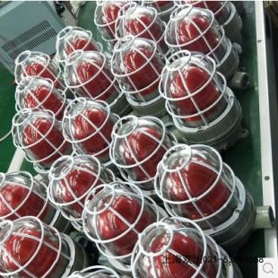 MS-590�����L���p����ʌ��È�����r