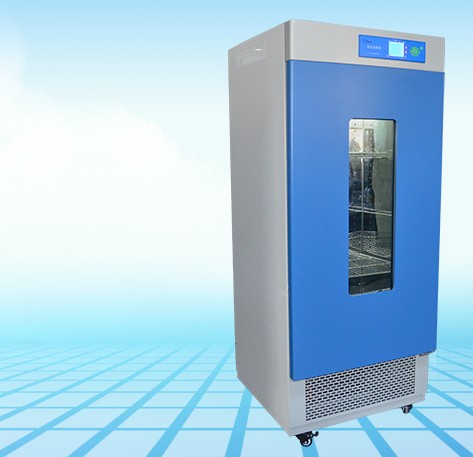 250B�������B(y��ng)��ʲô�ط��õõ�