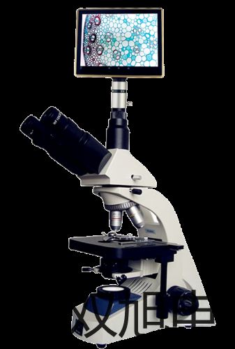 ���p���ơ�UF-04�^�V���r(ji��)�� 